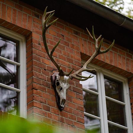Wald- Und Seeidyll Im Historischen Forsthaus Neuruppin Zewnętrze zdjęcie