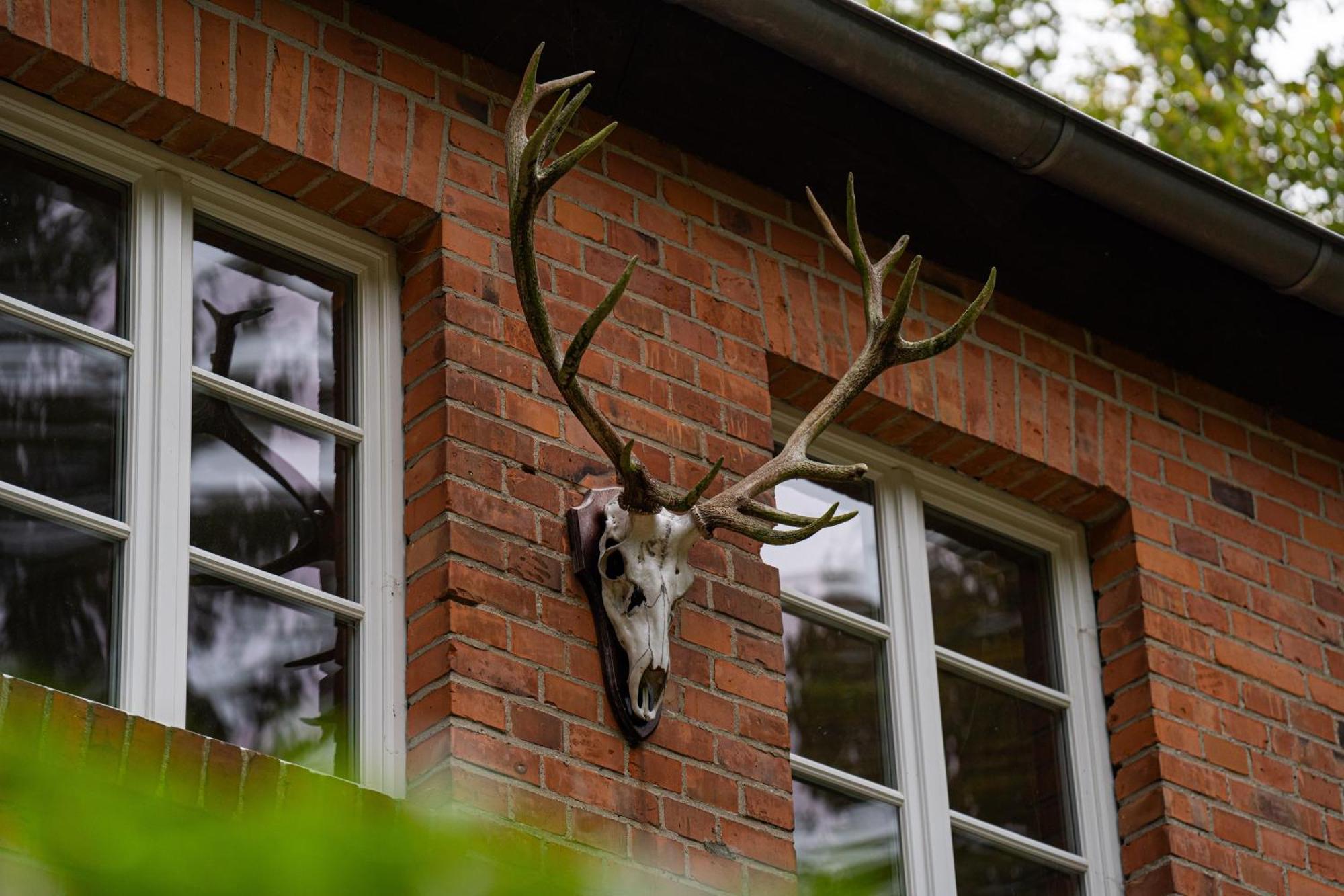 Wald- Und Seeidyll Im Historischen Forsthaus Neuruppin Zewnętrze zdjęcie